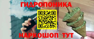 герыч Кингисепп