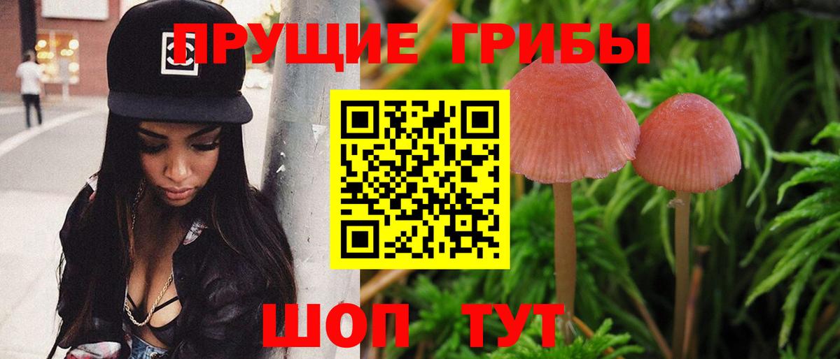 Галлюциногенные грибы GOLDEN TEACHER  Вход с VPN  Камышлов 